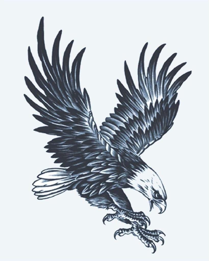 Hunting eagle