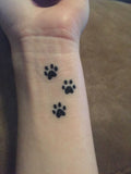 Paw Prints