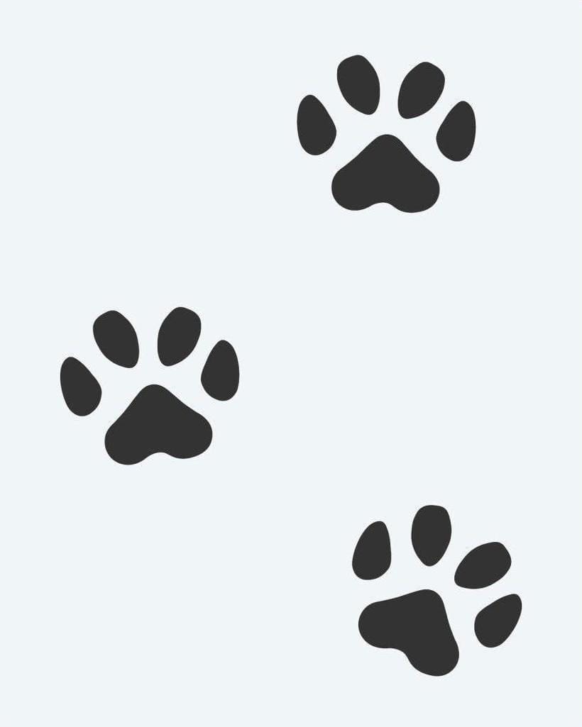 Paw Prints